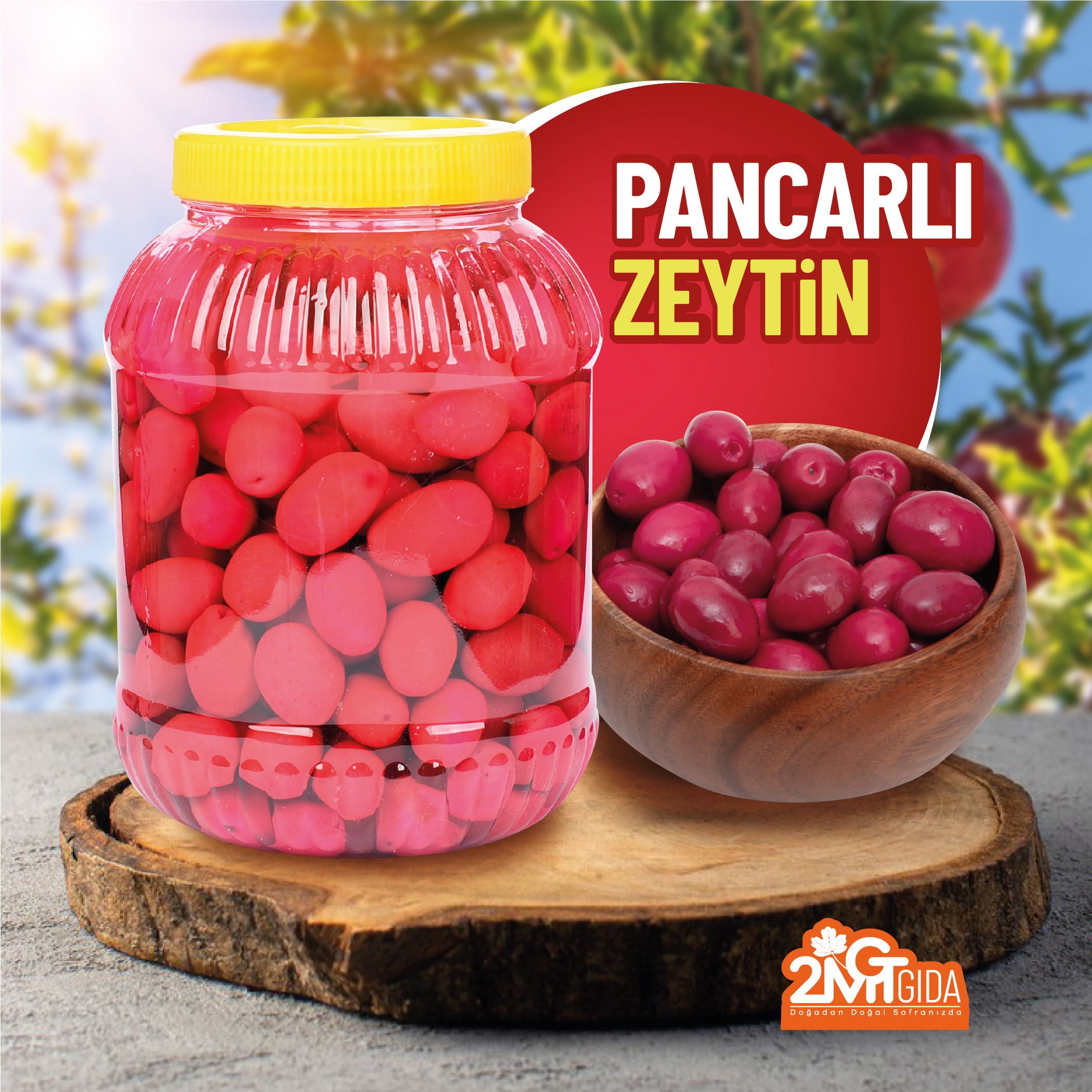 Pancarlı Yeşil Zeytin 